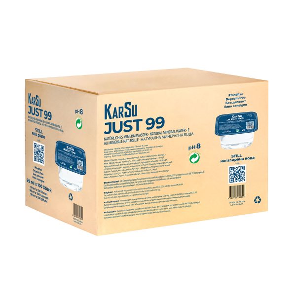 karsu-wasser-water-just99-karton
